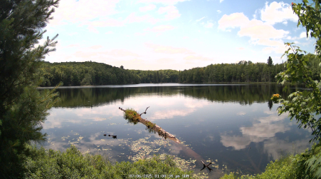 Image from 2025-07-06