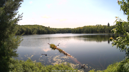 Image from 2025-07-06