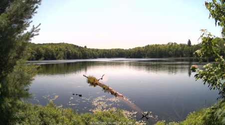 Image from 2025-07-06