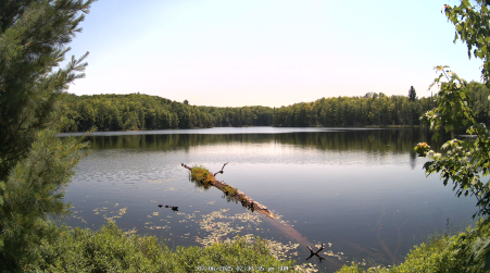 Image from 2025-07-06