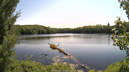 Image from 2025-07-06