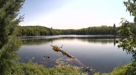 Image from 2025-07-06