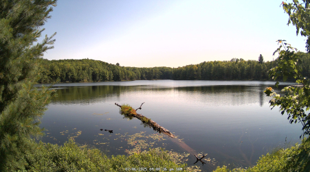 Image from 2025-07-06