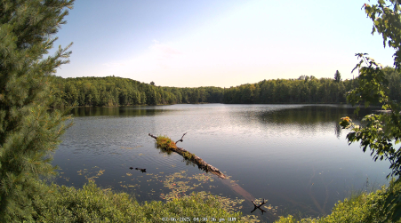 Image from 2025-07-06