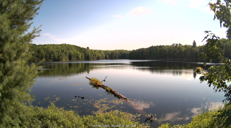 Image from 2025-07-06
