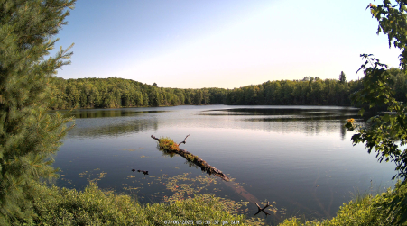 Image from 2025-07-06