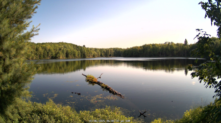 Image from 2025-07-06