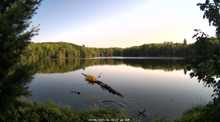 Image from 2025-07-06