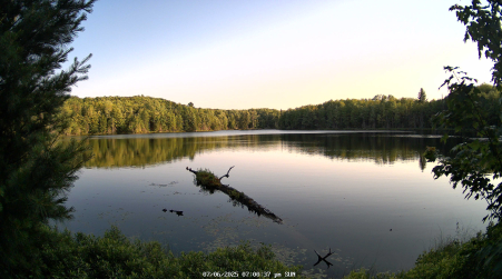 Image from 2025-07-06