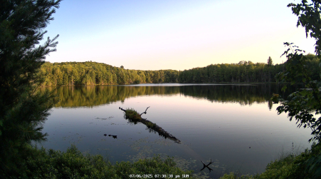 Image from 2025-07-06