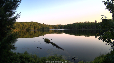 Image from 2025-07-06