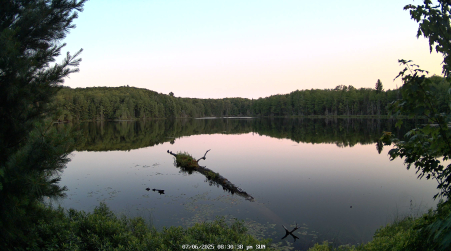 Image from 2025-07-06