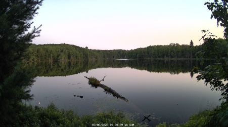 Image from 2025-07-06