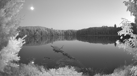 Image from 2025-07-06