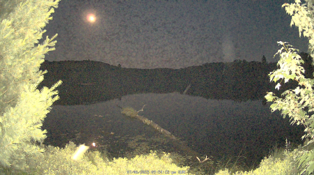 Image from 2025-07-06