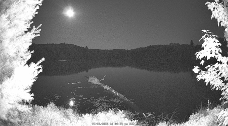 Image from 2025-07-06