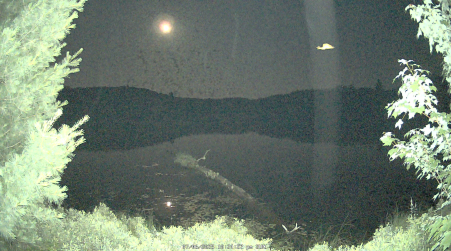 Image from 2025-07-06