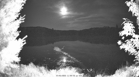 Image from 2025-07-06