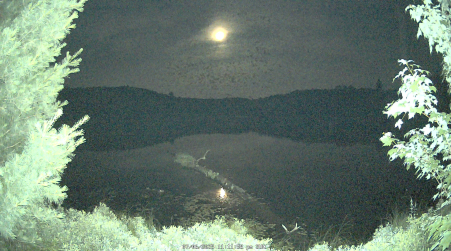 Image from 2025-07-06