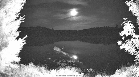 Image from 2025-07-06