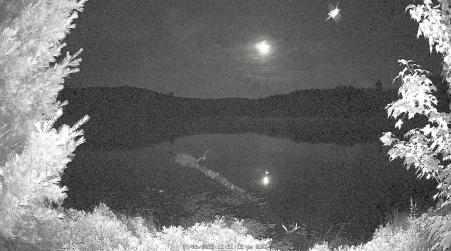 Image from 2025-07-06