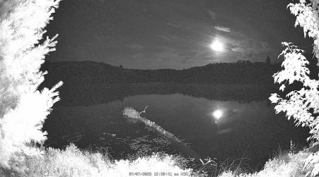 Image from 2025-07-07