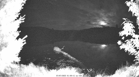 Image from 2025-07-07