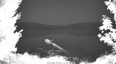 Image from 2025-07-07