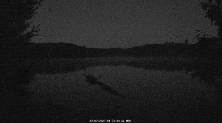 Image from 2025-07-07