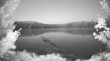 Image from 2025-07-07