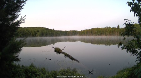 Image from 2025-07-07