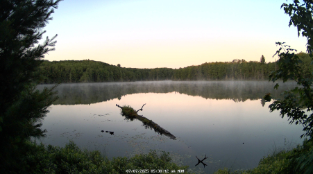 Image from 2025-07-07