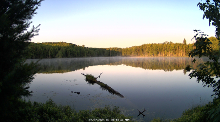 Image from 2025-07-07