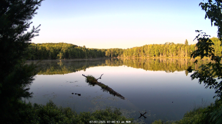 Image from 2025-07-07
