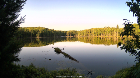 Image from 2025-07-07