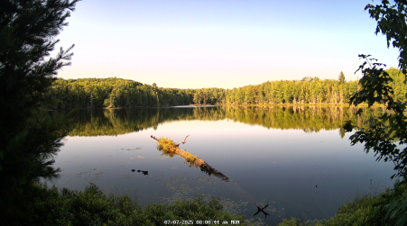 Image from 2025-07-07