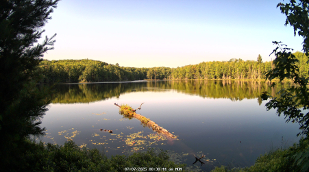 Image from 2025-07-07
