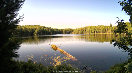 Image from 2025-07-07
