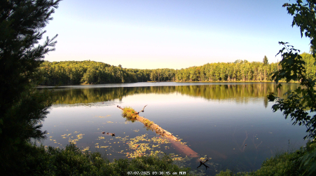 Image from 2025-07-07