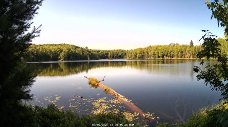 Image from 2025-07-07