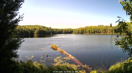 Image from 2025-07-07