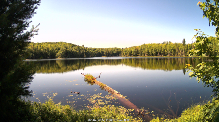 Image from 2025-07-07