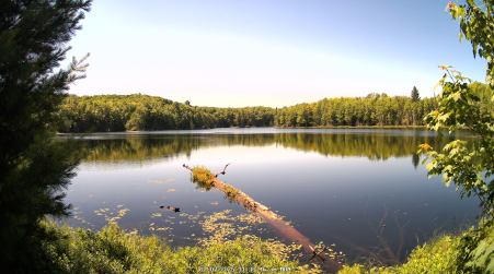 Image from 2025-07-07