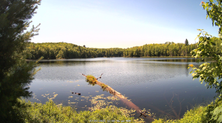Image from 2025-07-07