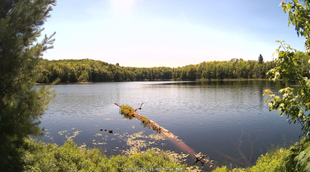 Image from 2025-07-07