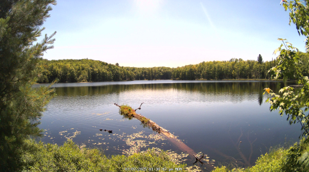 Image from 2025-07-07