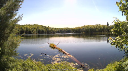Image from 2025-07-07