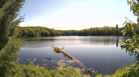 Image from 2025-07-07