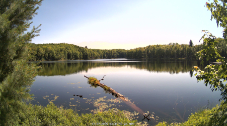 Image from 2025-07-07