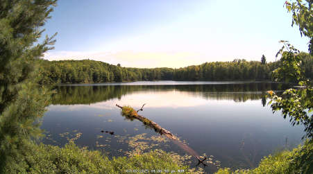 Image from 2025-07-07